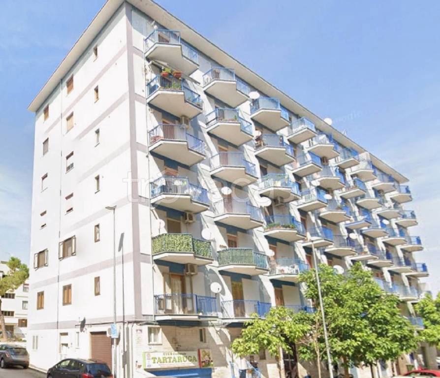 immagine annuncio 3 di 12