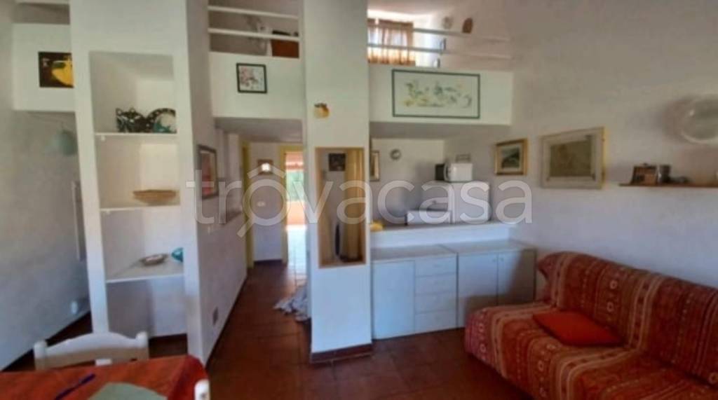 immagine annuncio 12 di 14