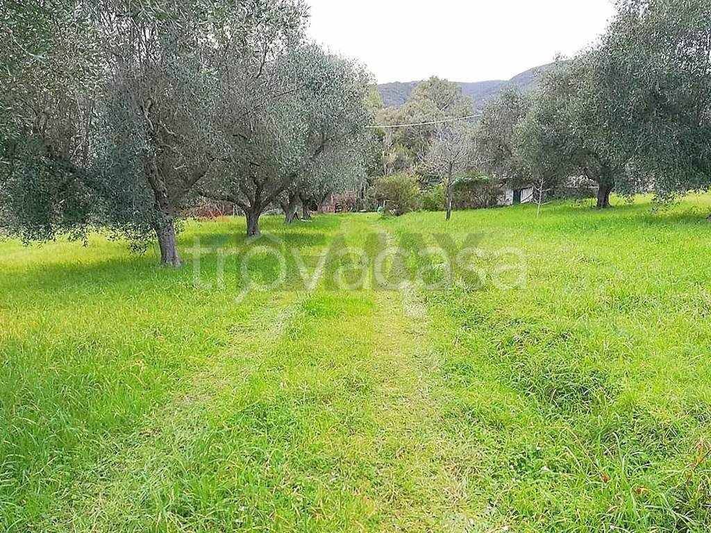 immagine annuncio 4 di 6