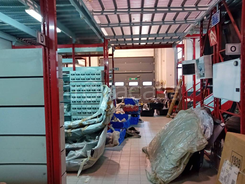 immagine annuncio 12 di 15