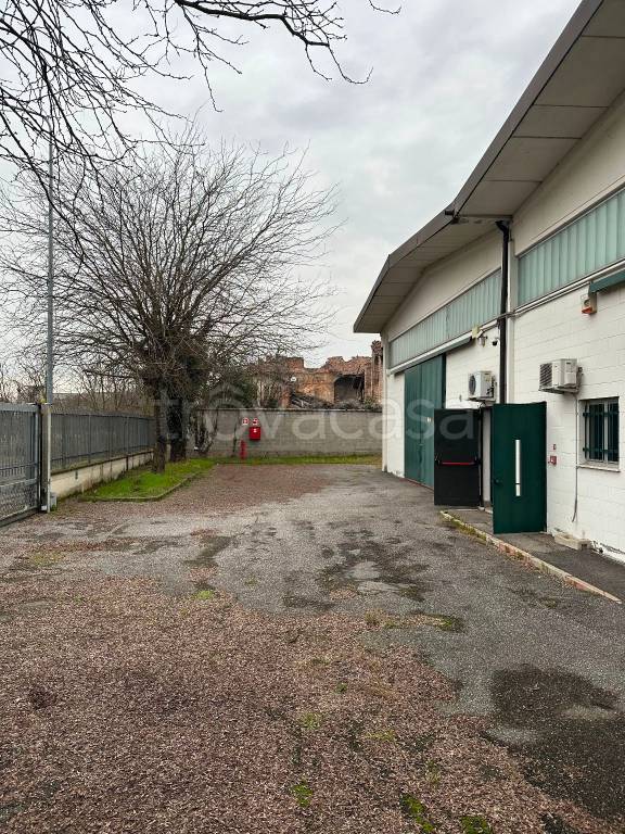 immagine annuncio 9 di 15