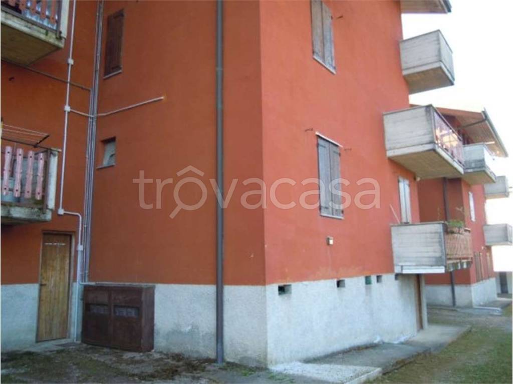 immagine annuncio 4 di 14