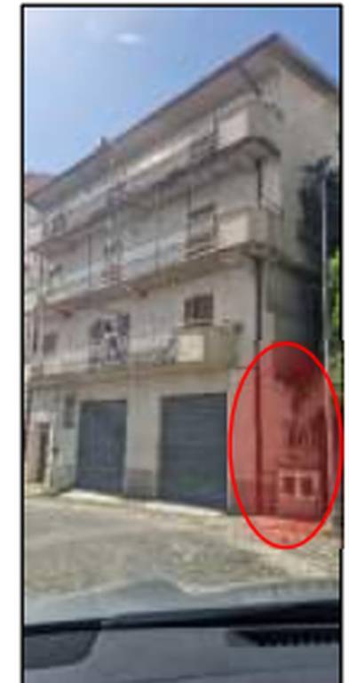 immagine annuncio 7 di 14