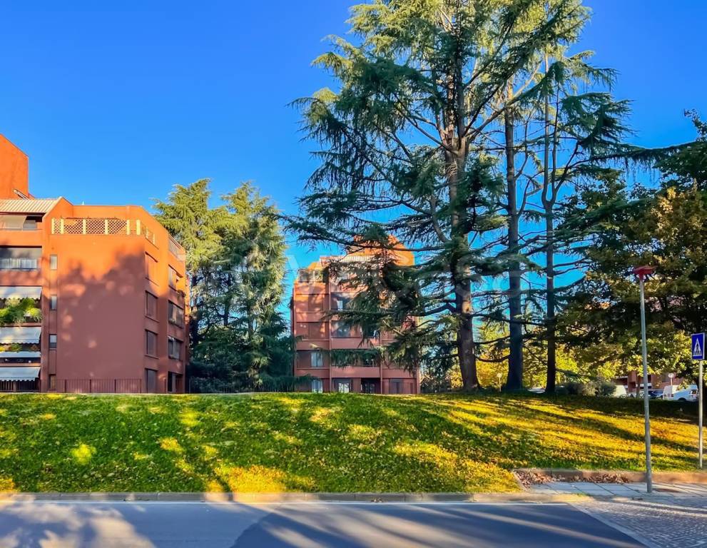 immagine annuncio 9 di 14