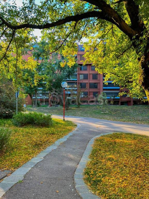 immagine annuncio 12 di 14