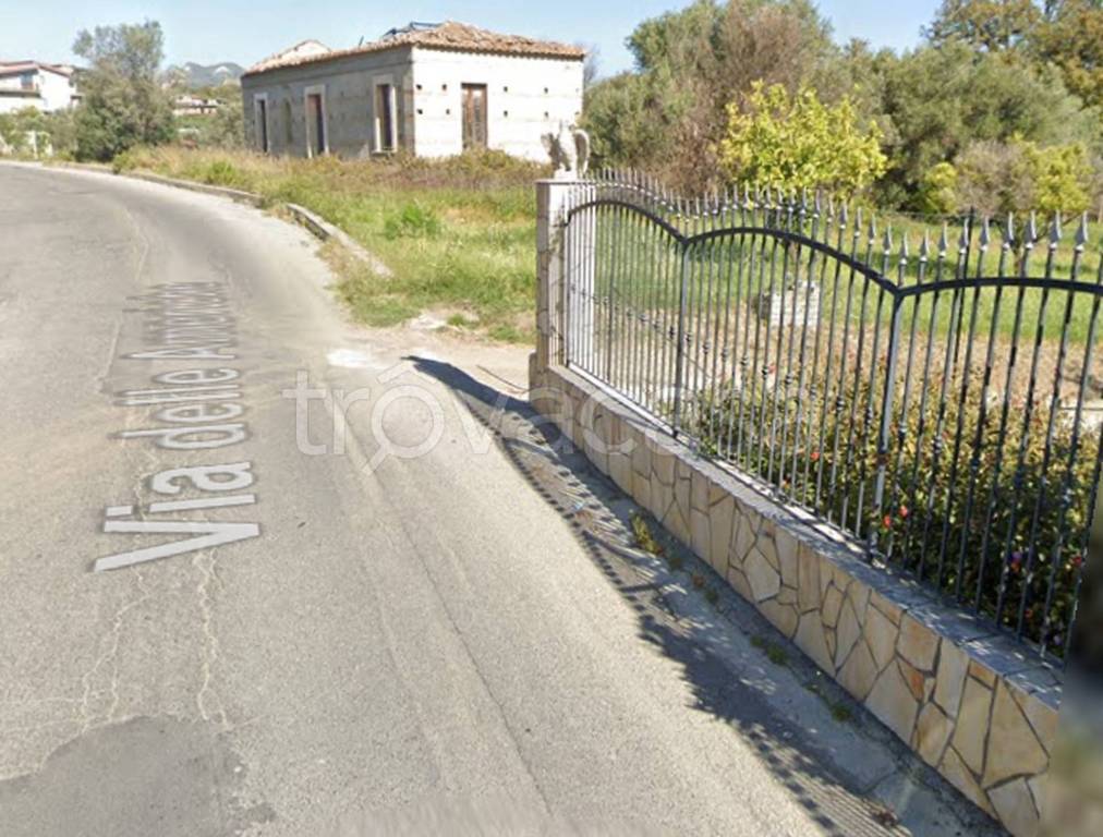 immagine annuncio 9 di 11