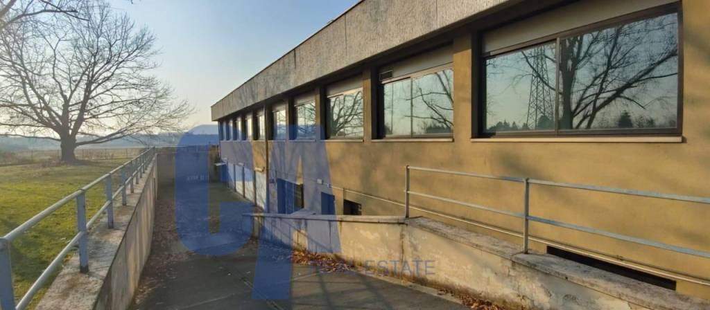 immagine annuncio 12 di 13