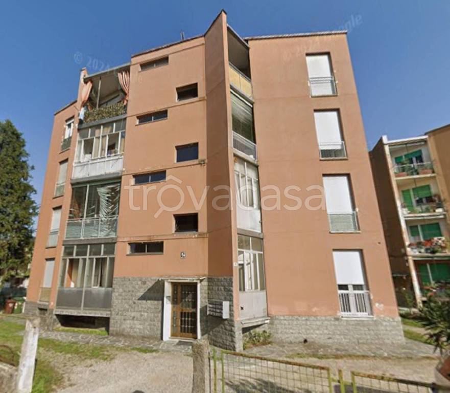 immagine annuncio 2 di 11