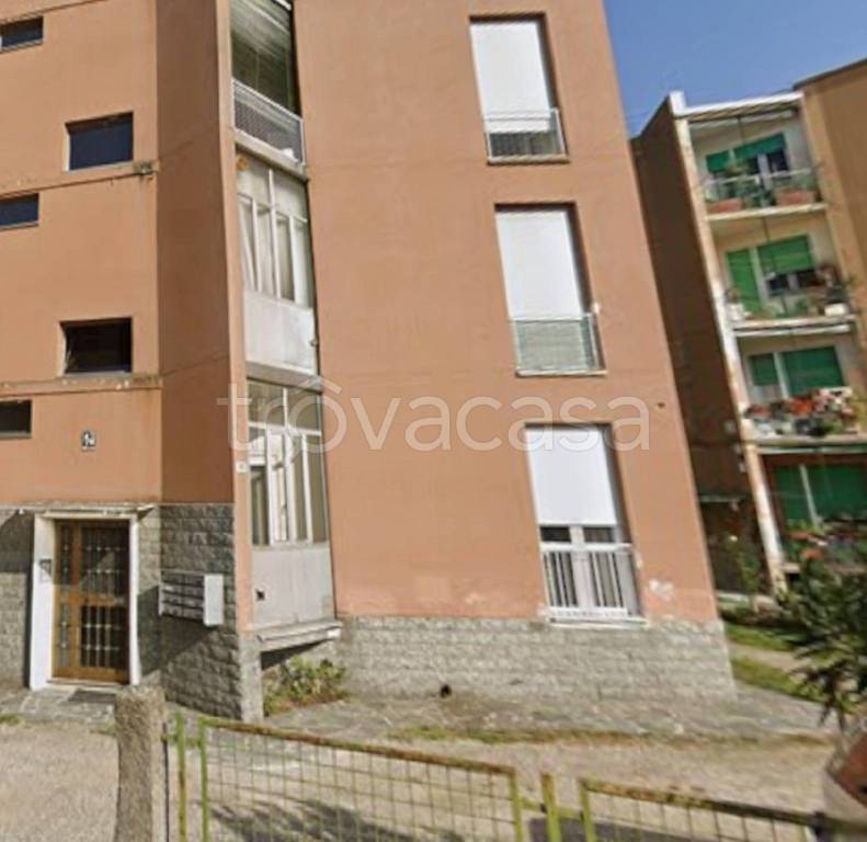 immagine annuncio 5 di 11