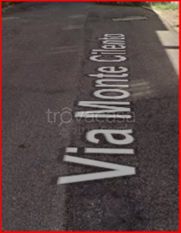 immagine annuncio 6 di 12