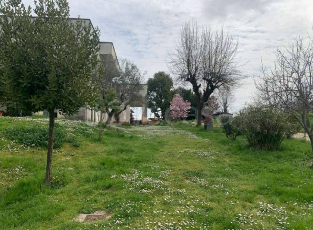 immagine annuncio 6 di 10