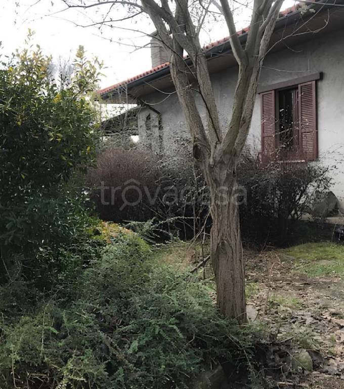 immagine annuncio 1 di 4