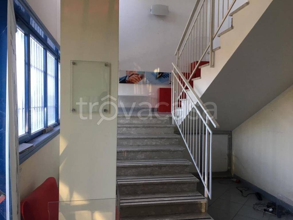 immagine annuncio 5 di 8