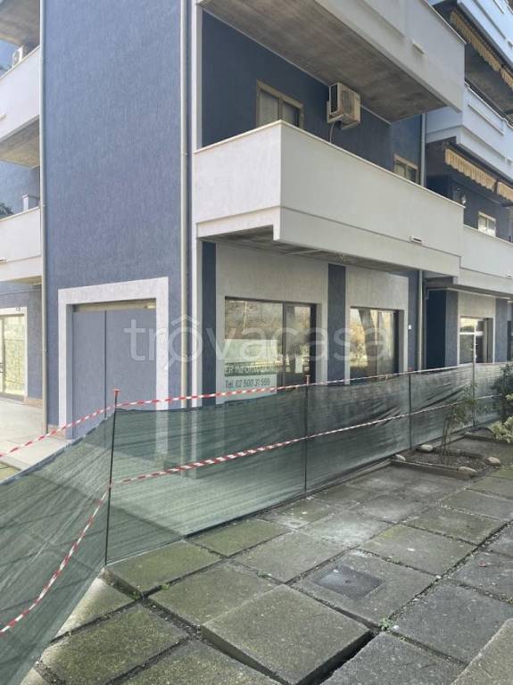 immagine annuncio 1 di 8