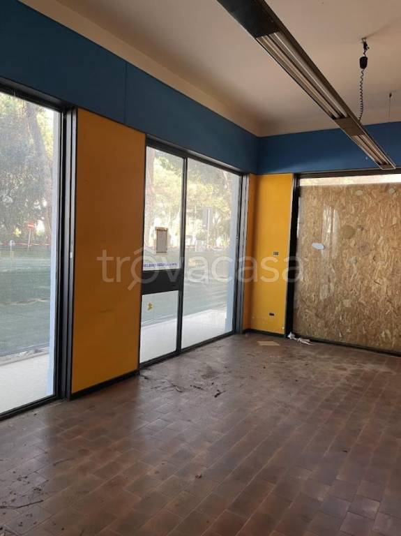 immagine annuncio 3 di 8