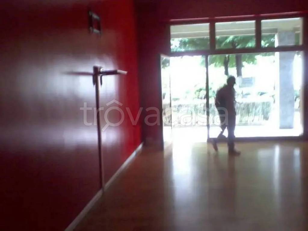 immagine annuncio 3 di 8