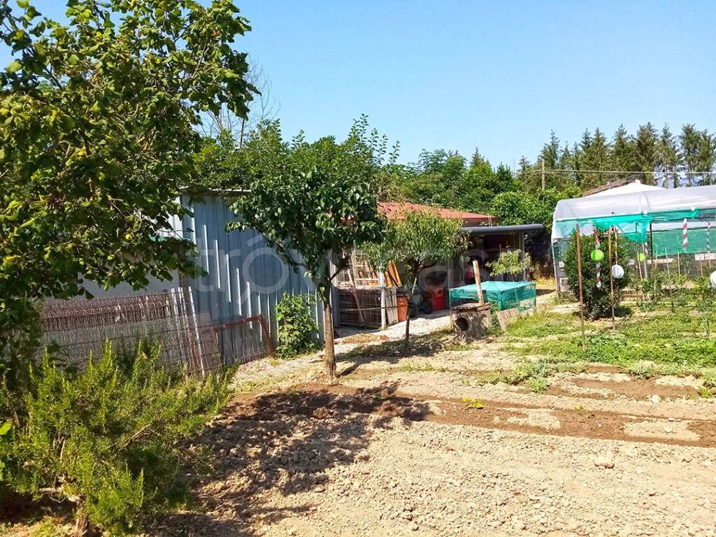 immagine annuncio 4 di 15