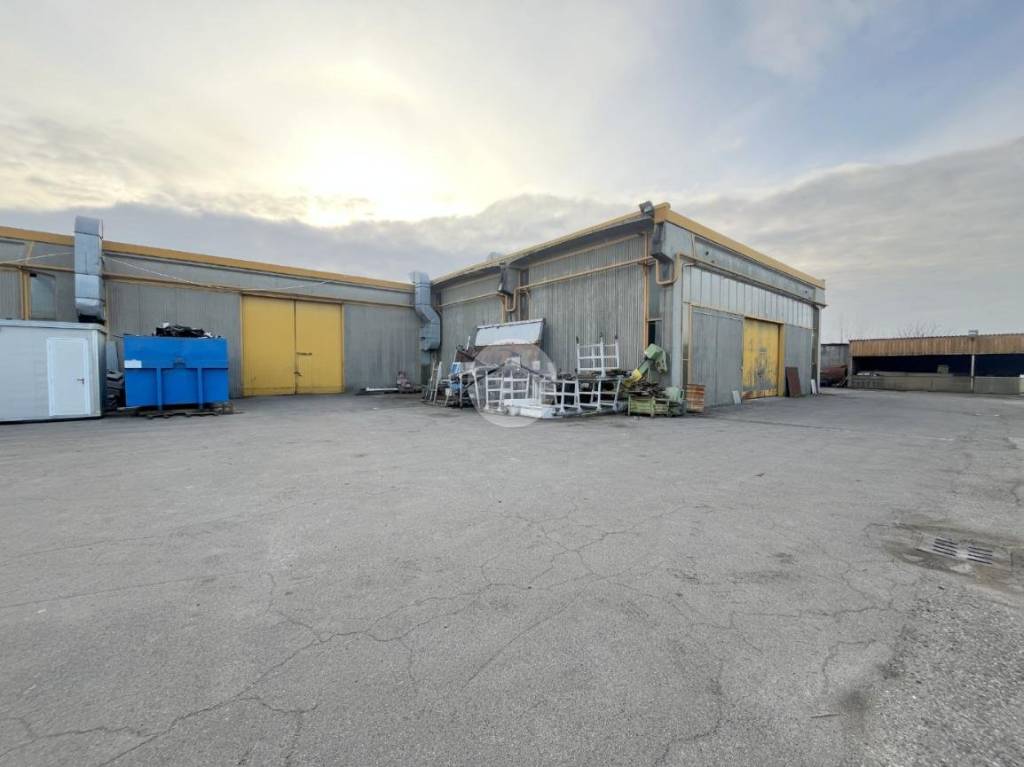 immagine annuncio 1 di 10