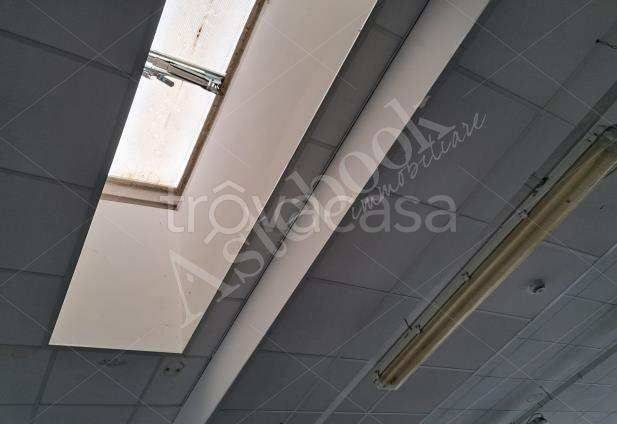 immagine annuncio 5 di 8