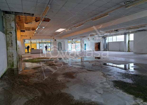 immagine annuncio 7 di 8