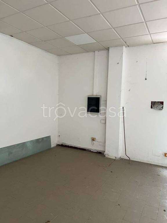 immagine annuncio 3 di 7