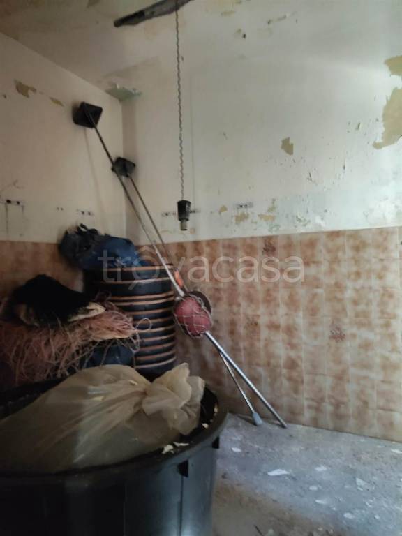 immagine annuncio 2 di 14