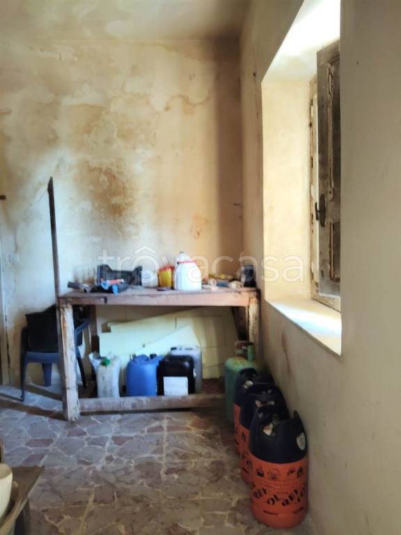 immagine annuncio 8 di 14