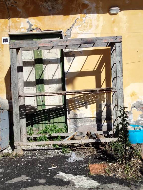 immagine annuncio 9 di 14