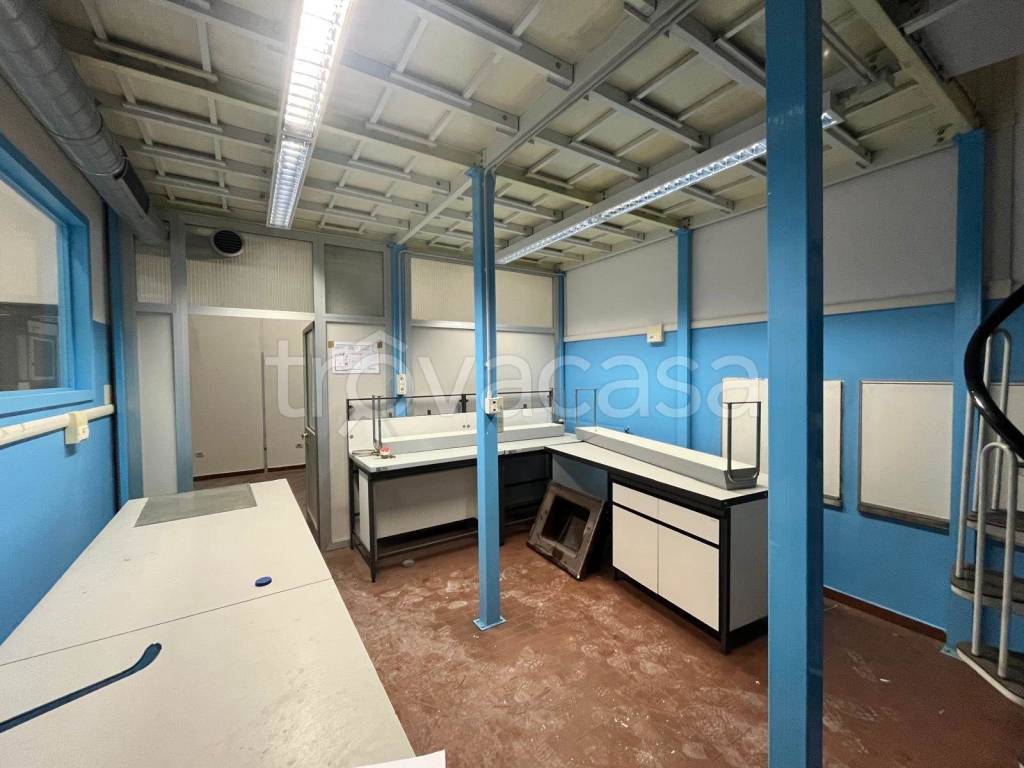 immagine annuncio 14 di 15