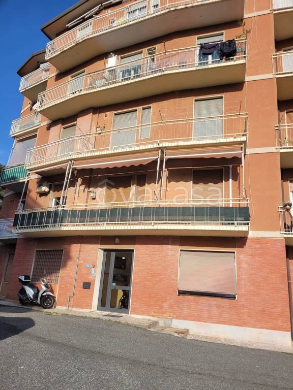 immagine annuncio 2 di 12