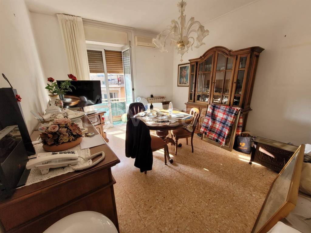 immagine annuncio 3 di 12