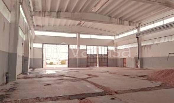 immagine annuncio 1 di 7