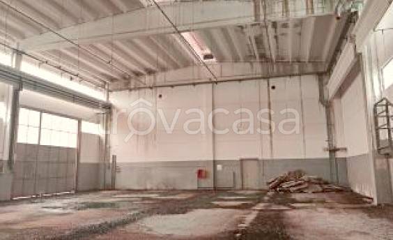 immagine annuncio 2 di 7