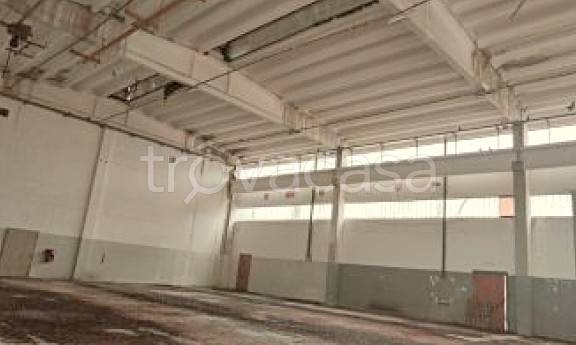 immagine annuncio 3 di 7