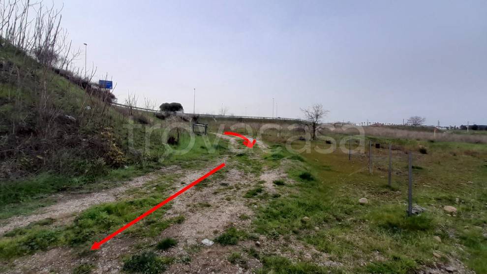 immagine annuncio 3 di 6