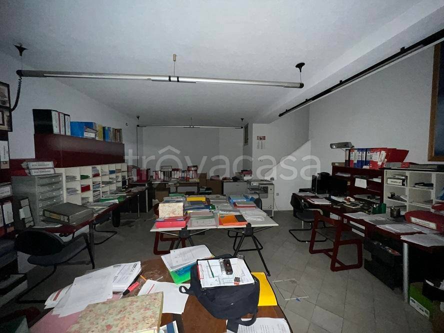 immagine annuncio 9 di 13