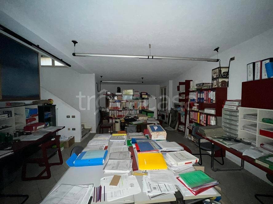 immagine annuncio 12 di 13