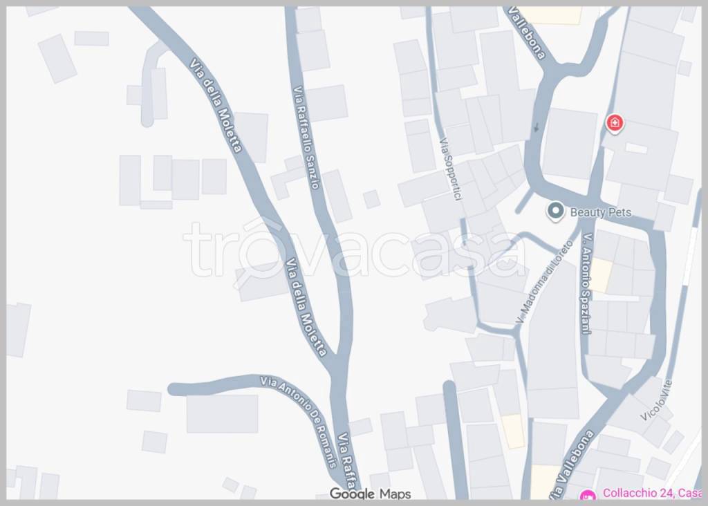 immagine annuncio 5 di 15