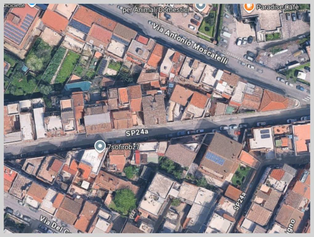 immagine annuncio 11 di 15