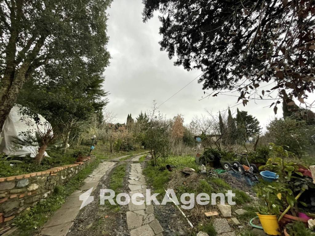 immagine annuncio 3 di 6