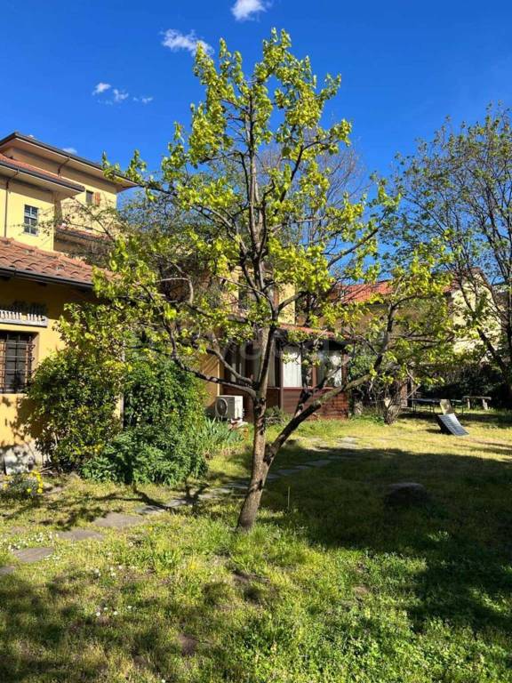 immagine annuncio 7 di 12