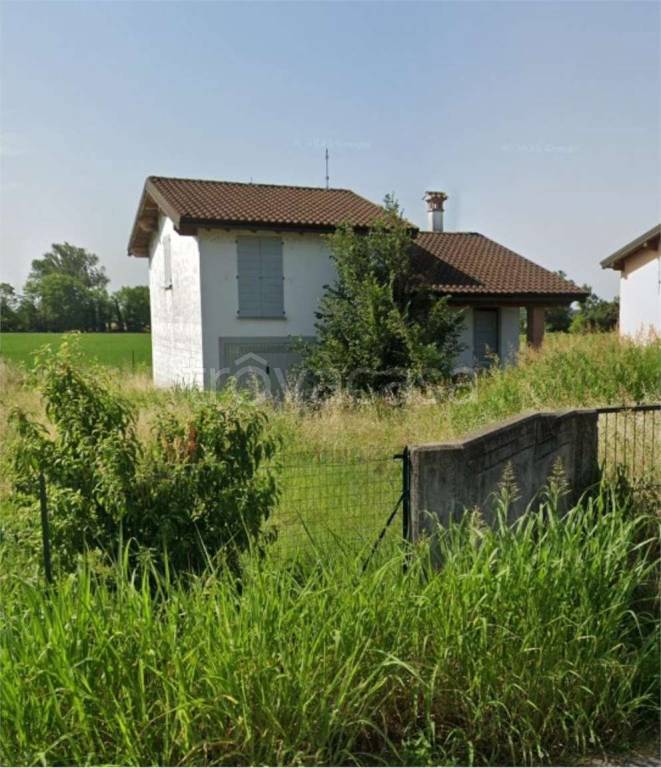 immagine annuncio 2 di 12