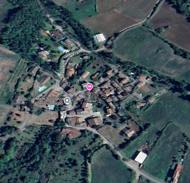 immagine annuncio 10 di 12