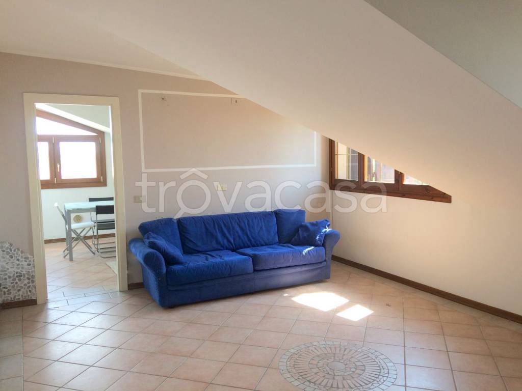 immagine annuncio 4 di 12