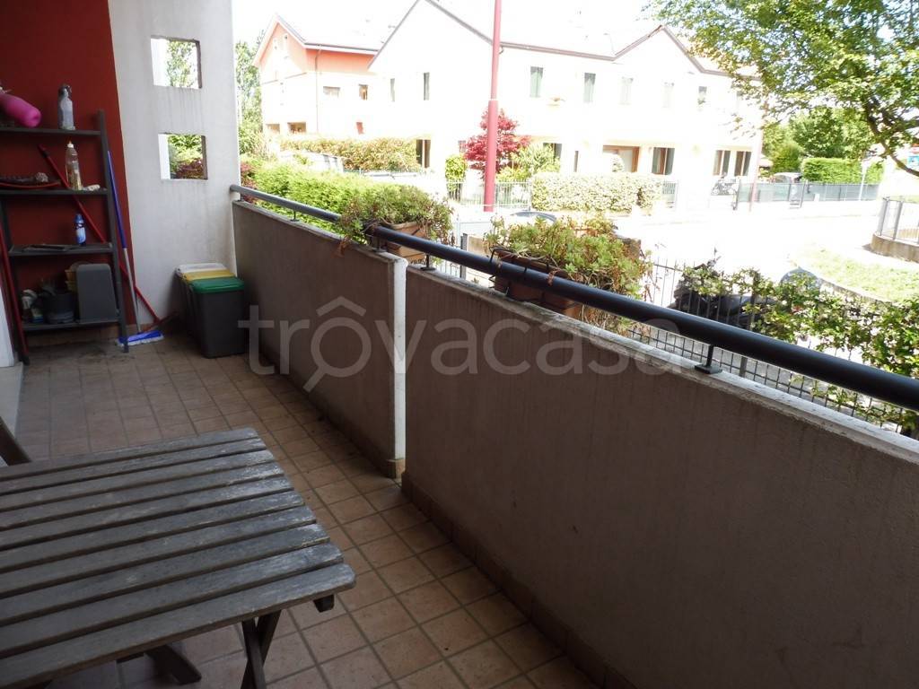 immagine annuncio 12 di 15