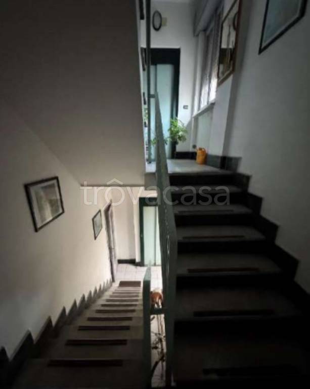 immagine annuncio 9 di 12