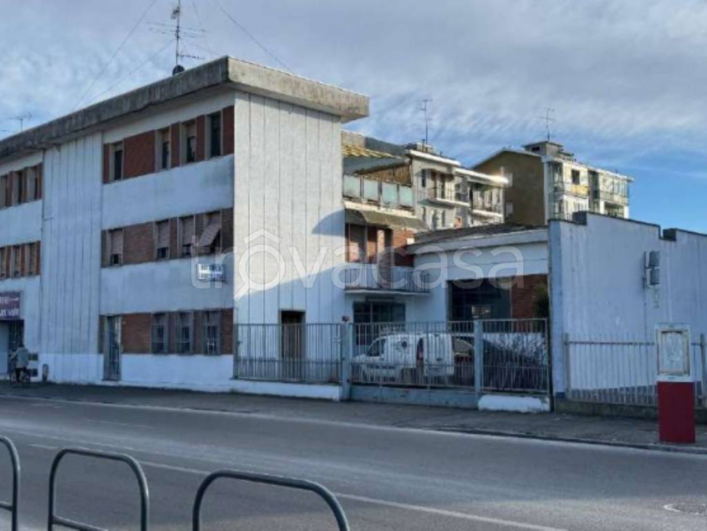 immagine annuncio 3 di 12