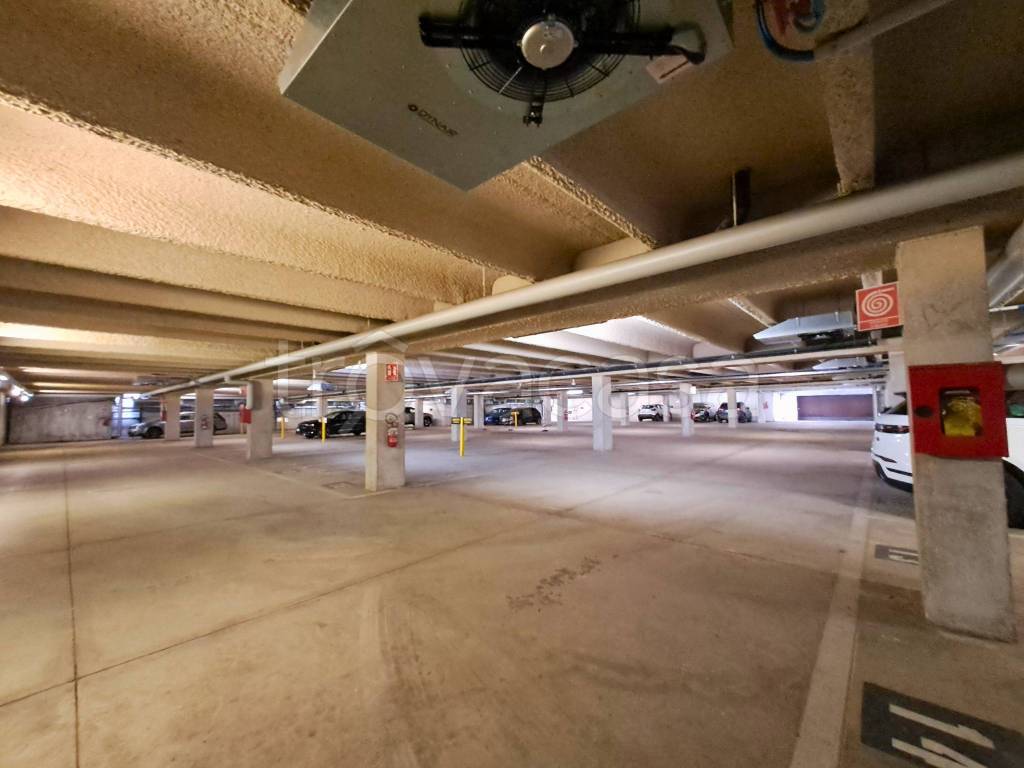 immagine annuncio 11 di 14