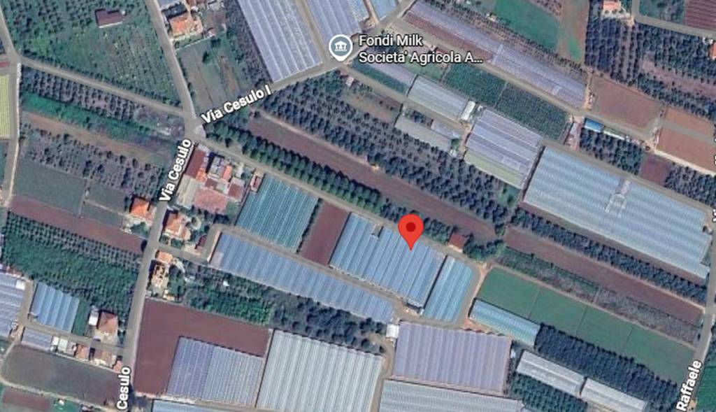 immagine annuncio 7 di 11