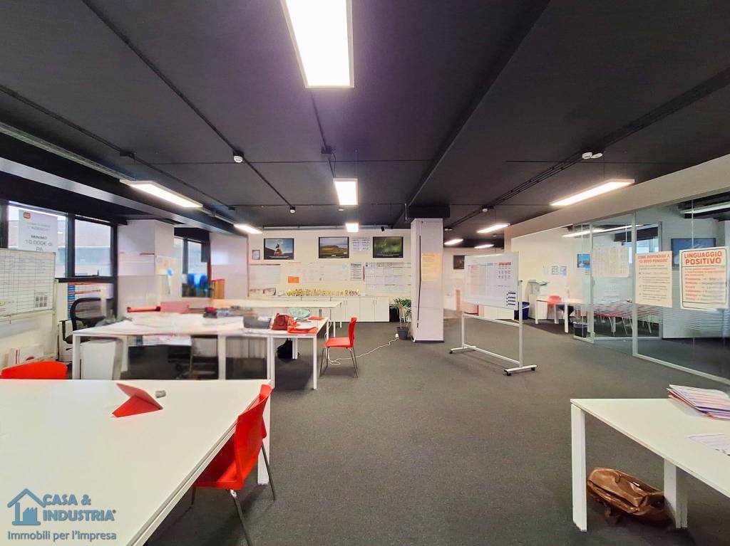 immagine annuncio 7 di 14